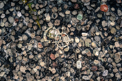 Full frame shot of stone wall