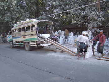 People on road by trees