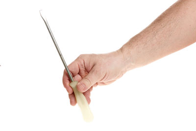 Close-up of hand holding leaf over white background