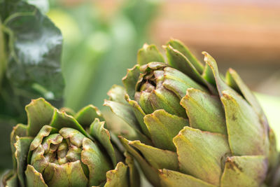 Close-up of vegetables in market