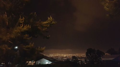 Low angle view of illuminated christmas tree against sky at night