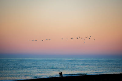 Birds flying over sea against sky during sunset