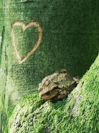 High angle view of heart shape on rock against wall