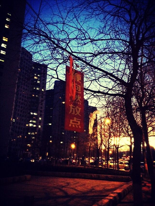 architecture, building exterior, built structure, illuminated, city, tree, bare tree, night, sunset, silhouette, low angle view, sky, tower, tall - high, dusk, skyscraper, branch, clear sky, city life, outdoors