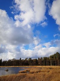 Scenic view of field against sky