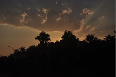 Silhouette trees on landscape against sky at sunset