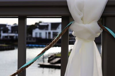 Close-up of white flowers by window against building