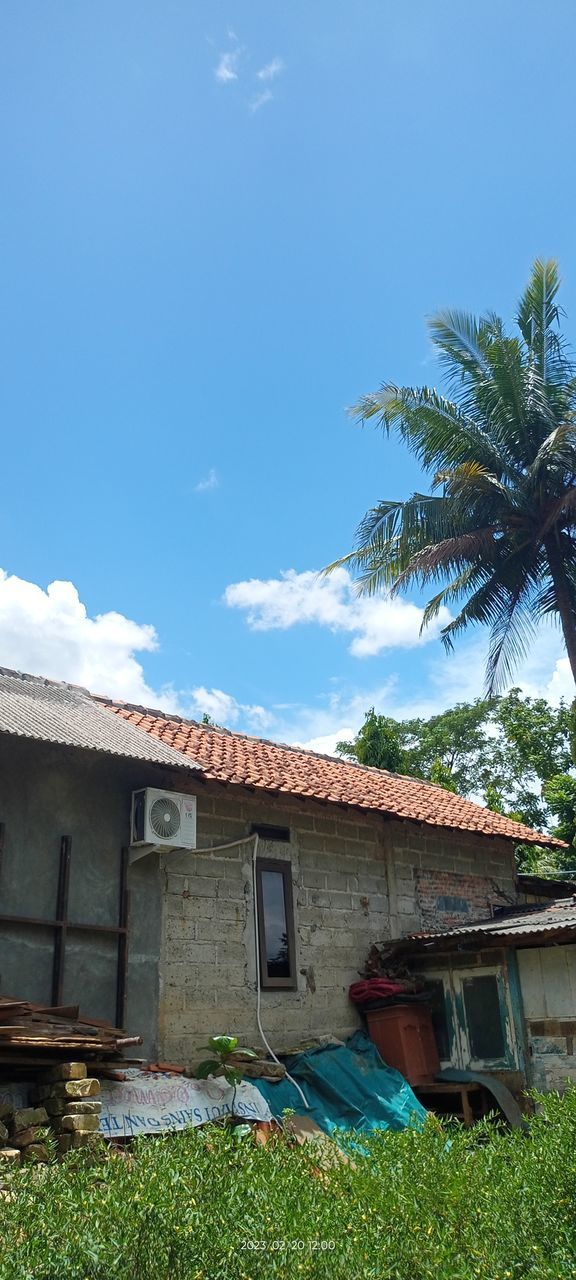 architecture, built structure, building exterior, sky, plant, building, house, nature, rural area, tropical climate, residential district, tree, no people, cloud, village, palm tree, grass, blue, day, vacation, outdoors, roof, land, home, rural scene, landscape, travel destinations