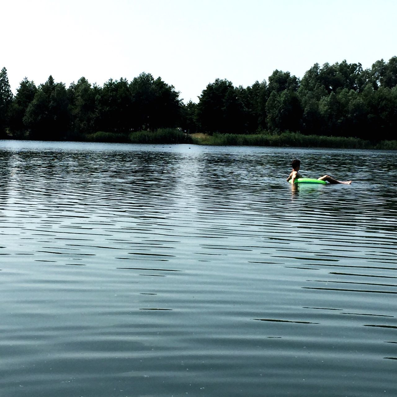 water, tree, waterfront, lake, animal themes, rippled, swimming, leisure activity, bird, men, nature, reflection, lifestyles, tranquility, clear sky, river, tranquil scene, duck