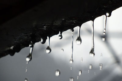 Close-up of waterdrops on water