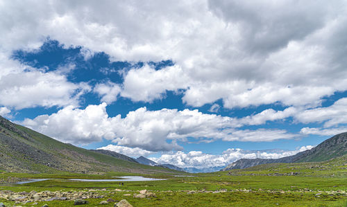 environment