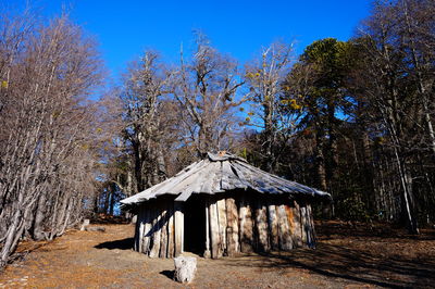 Built structure amidst trees and plants in forest against clear blue sky