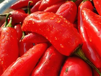 Close-up of red chili peppers