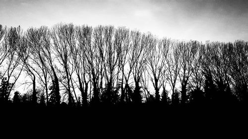 Silhouette trees in forest against sky