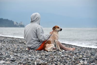 Dog sitting on beach
