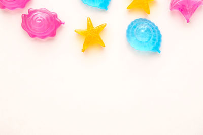 High angle view of various flowers against white background