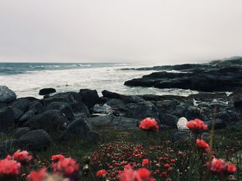 Scenic view of sea against cloudy sky