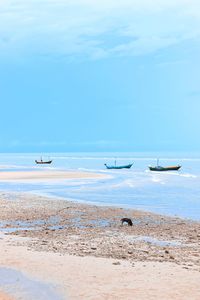 View of boats in sea against sky