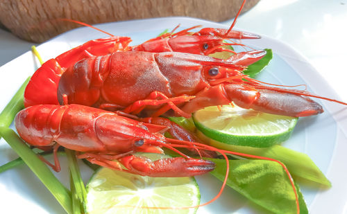 Close-up of shrimps with vegetables served in plate on table