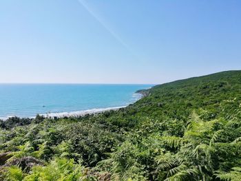 Scenic view of sea against clear blue sky