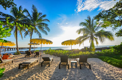 Palm trees on beach against sky