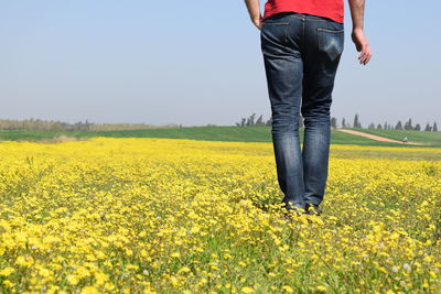 Low section of person walking on field