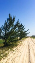 Dirt road amidst trees against clear sky
