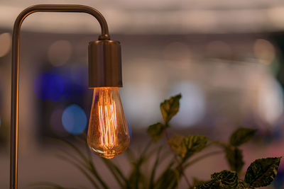 Close-up of illuminated light bulb