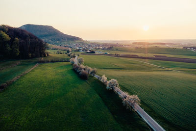 Aerial view of scenic driving road with trees at sunset