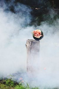 Close-up of smoke emitting from container