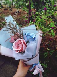High angle view of hand holding rose bouquet on field