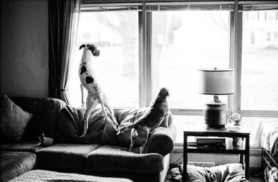 Woman relaxing on bed