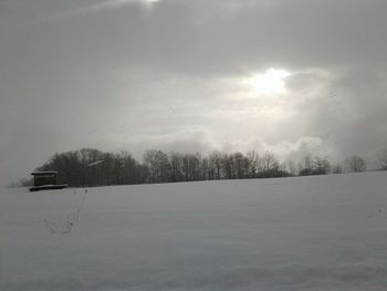 Trees on snow covered landscape against sky