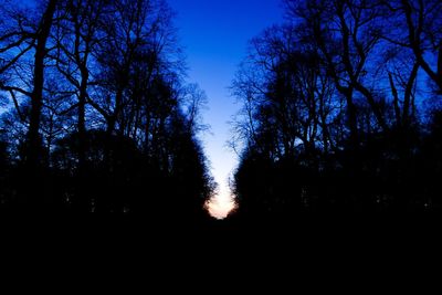 Silhouette of trees against sky at sunset