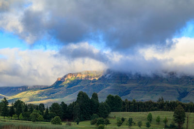 Scenic view of landscape against sky