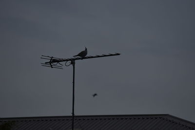 Low angle view of silhouette bird perching on mobile phone