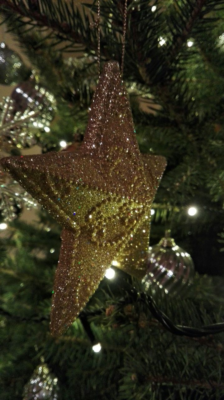 CLOSE-UP OF ILLUMINATED CHRISTMAS TREE