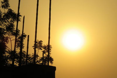 Low angle view of silhouette trees against sky during sunset