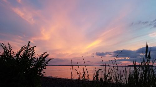 Scenic view of sea against cloudy sky