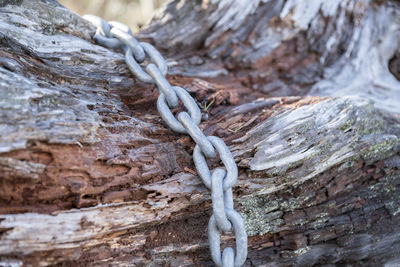 Close-up of rope tied on rock