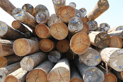 Close-up of logs in forest