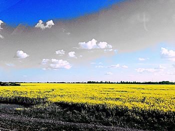 Scenic view of field against cloudy sky