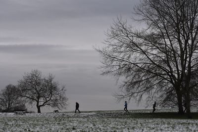 Silhouette bare trees on snowy  field against sky