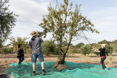 Male and female farmers harvesting almonds by hand.