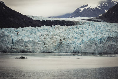 Glacier bay national park, glacier, gletscher, eis, schnee, meer