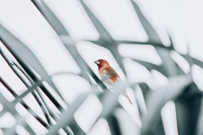 High angle view of insect on window