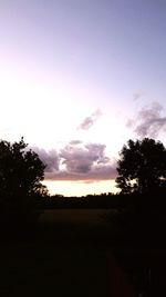 Silhouette trees on field against sky at sunset