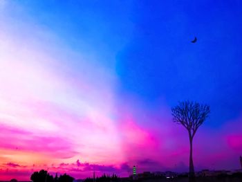 Silhouette trees against dramatic sky during sunset