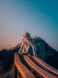 High angle view of a monkey on mountain against sky