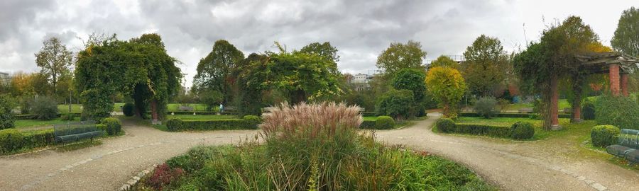 Panoramic shot of trees against sky